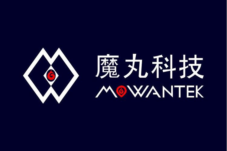 合肥魔丸科技 引領信息系統集成服務新風向